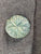 Medieval Button - Arrow Fletching K-32