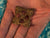 Saxon Pin Y-81