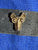 Square Belt Mount - 1-A-29